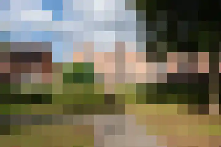 de Jasmijn 7 Hoogerheide foto 2