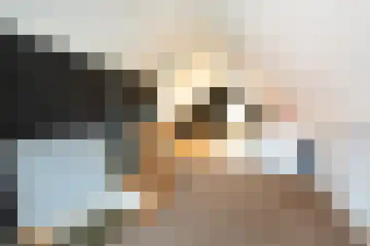 de Jasmijn 7 Hoogerheide thumbnail 22