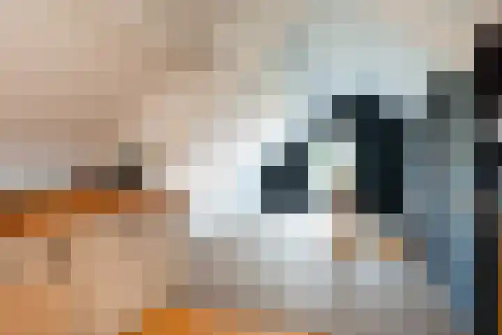 de Jasmijn 7 Hoogerheide thumbnail 23