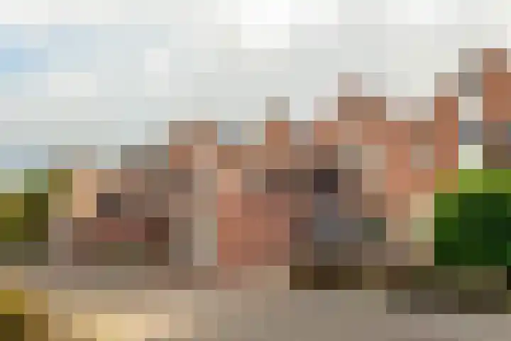de Jasmijn 7 Hoogerheide thumbnail 29