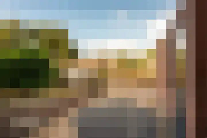 de Jasmijn 7 Hoogerheide thumbnail 30