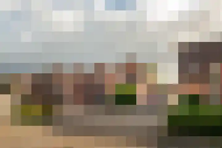 de Jasmijn 7 Hoogerheide thumbnail 32