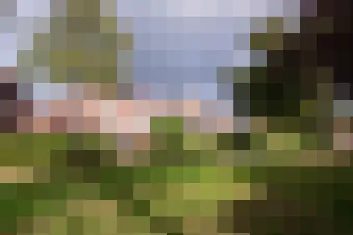 de Jasmijn 7 Hoogerheide thumbnail 34