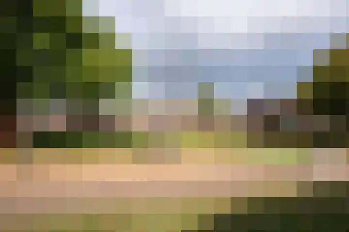 de Jasmijn 7 Hoogerheide thumbnail 35