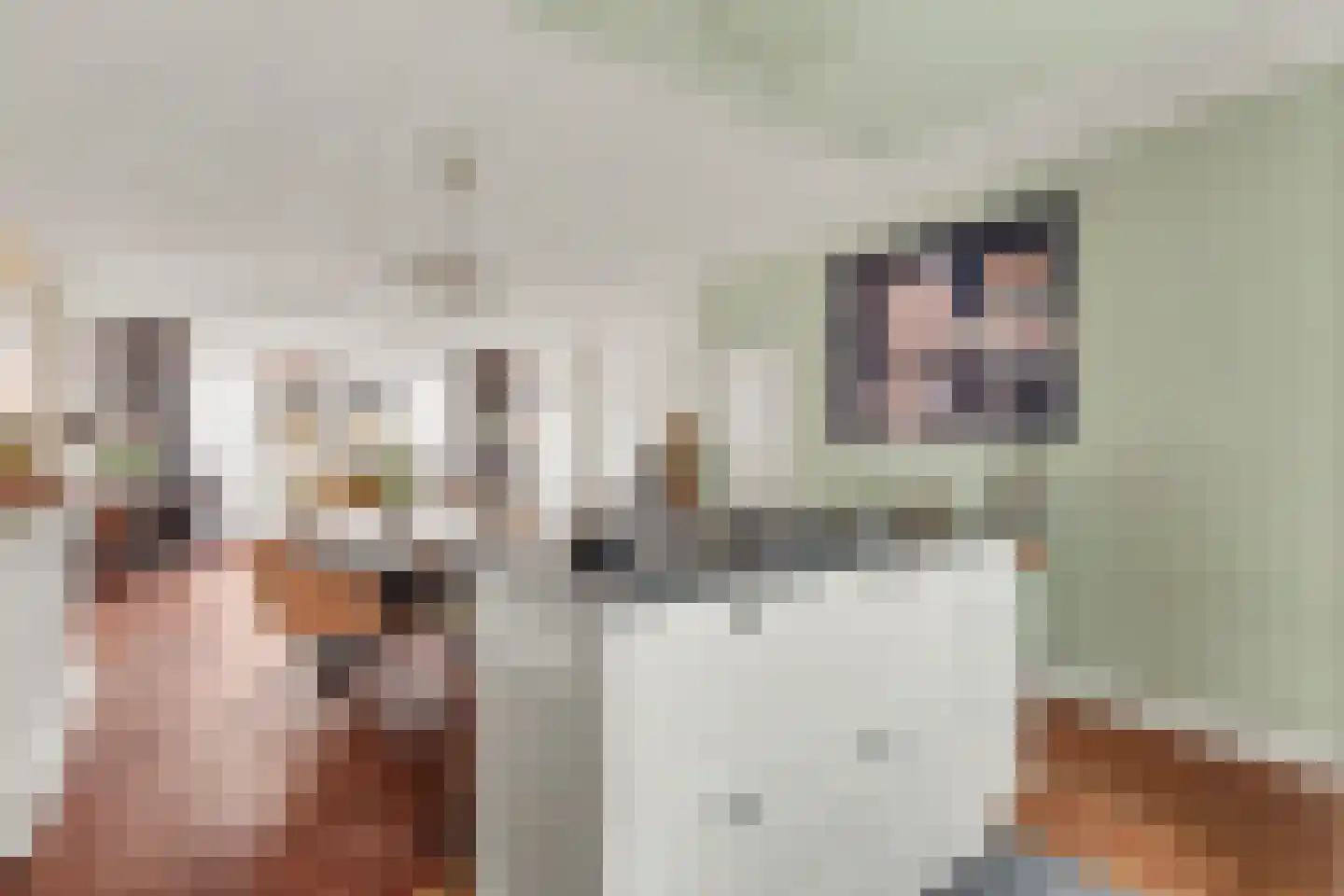 de Jeker 5 Woerden thumbnail 6