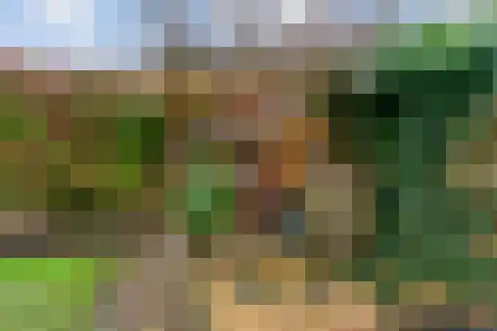 de Jeker 9 Woerden thumbnail 28