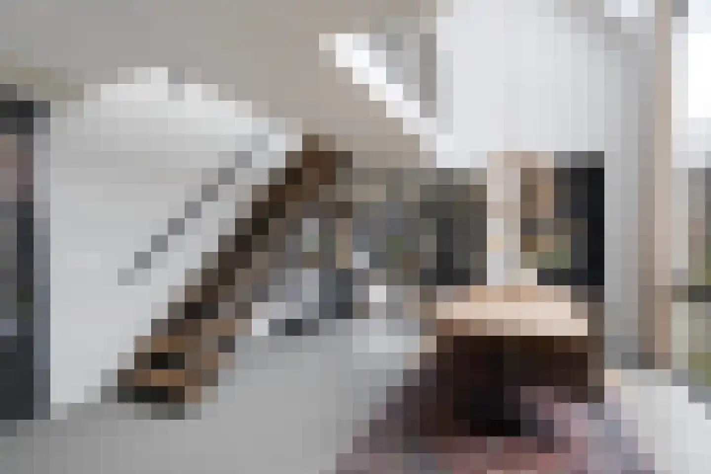 De Jint 1 Leeuwarden thumbnail 17