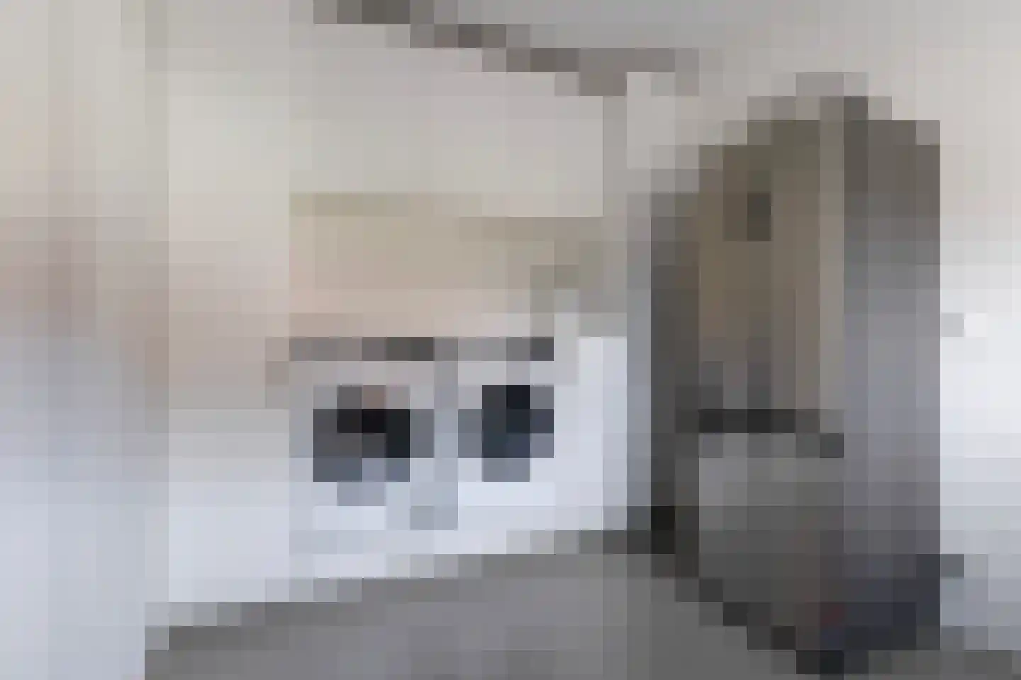 De Jint 1 Leeuwarden thumbnail 24