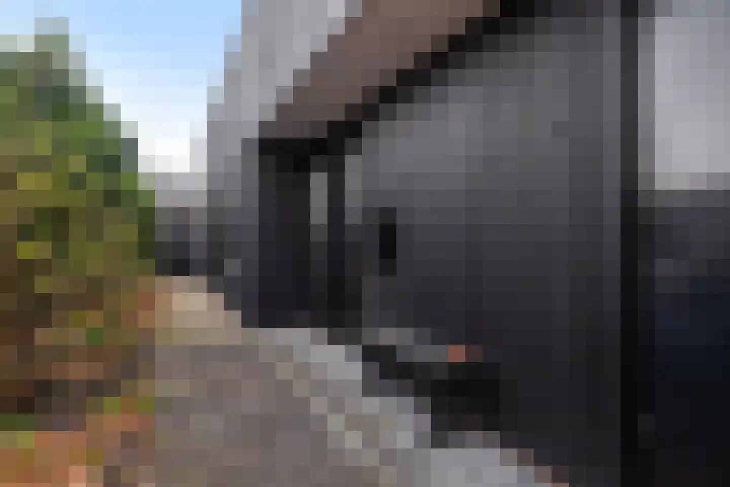De Jint 1 Leeuwarden thumbnail 5