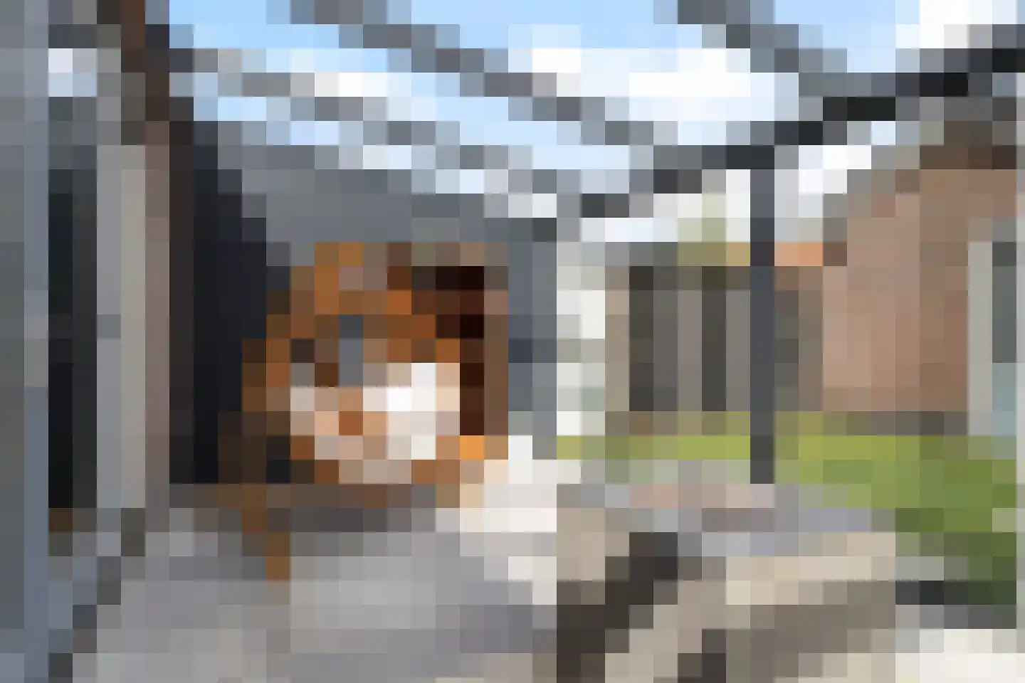 De Jint 32 Leeuwarden thumbnail 47