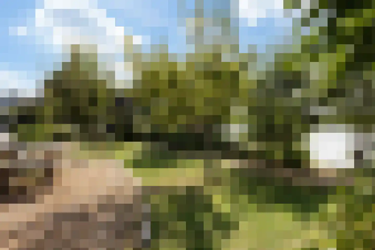 De Jint 32 Leeuwarden thumbnail 51