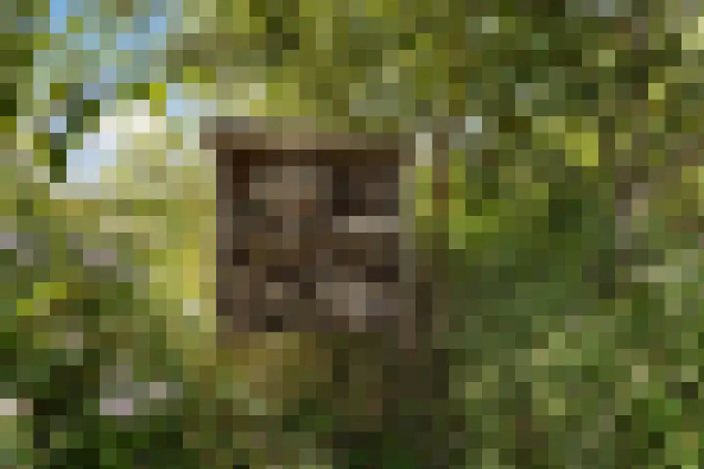De Jint 32 Leeuwarden thumbnail 53