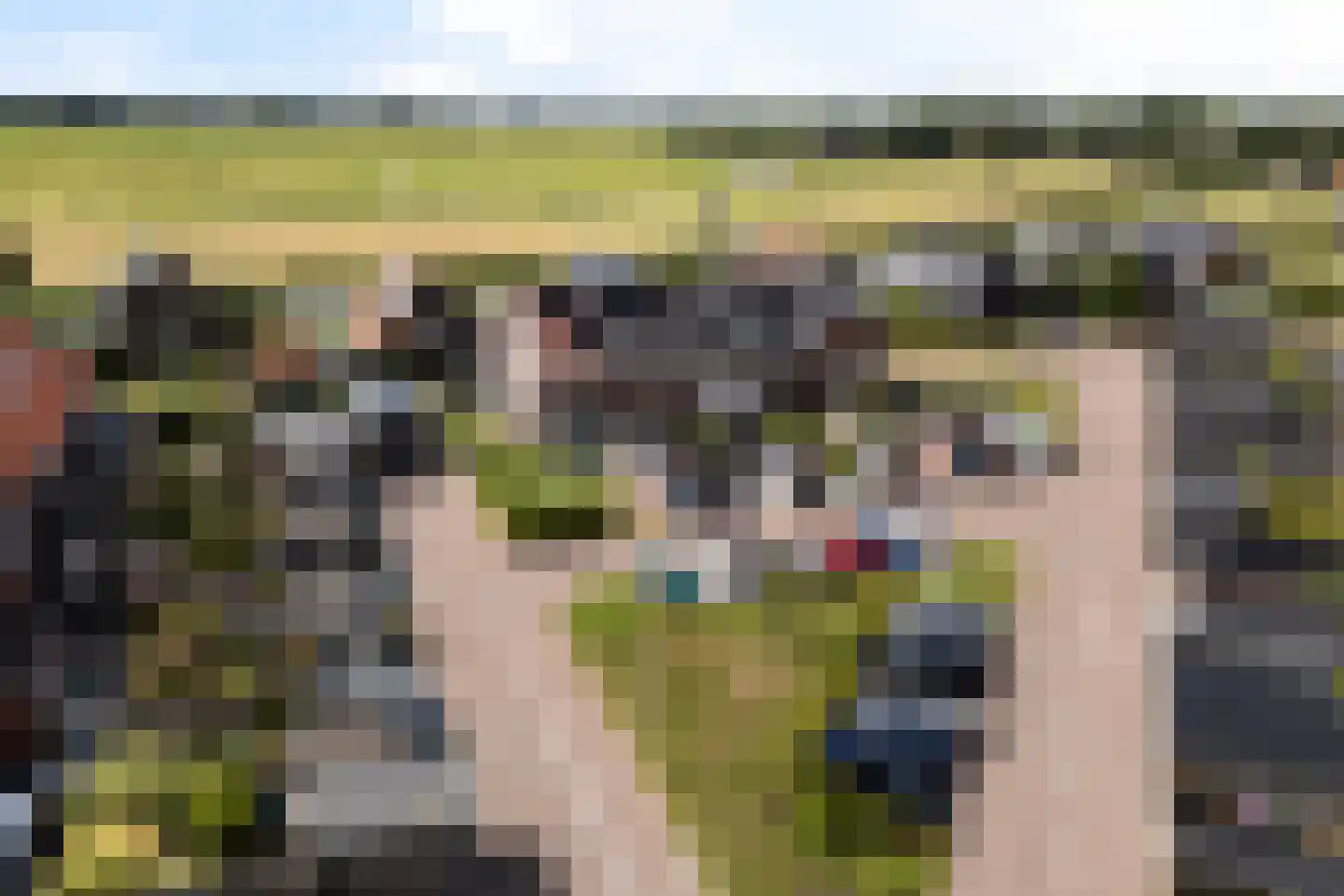De Jint 32 Leeuwarden thumbnail 6