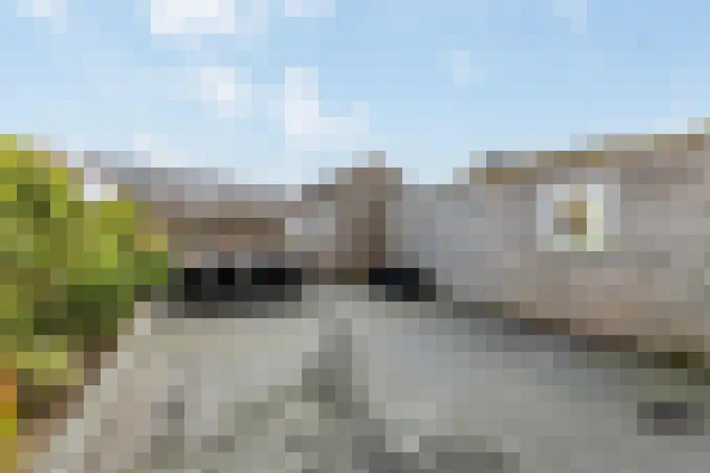 De Jint 36 Leeuwarden thumbnail 40