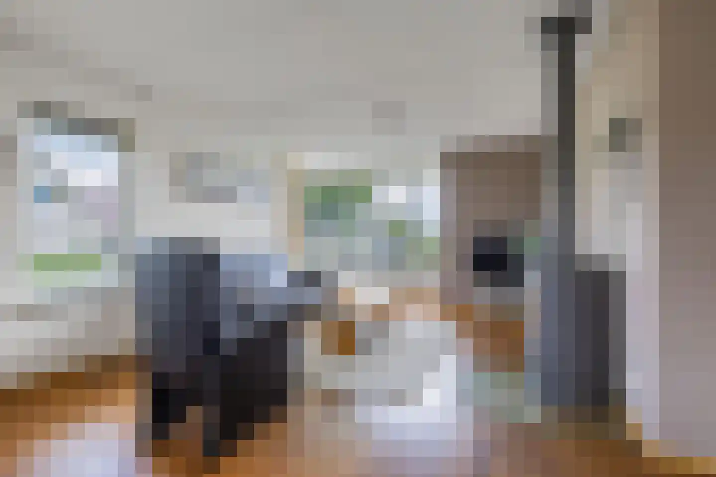 De Jister 14 Wommels thumbnail 10