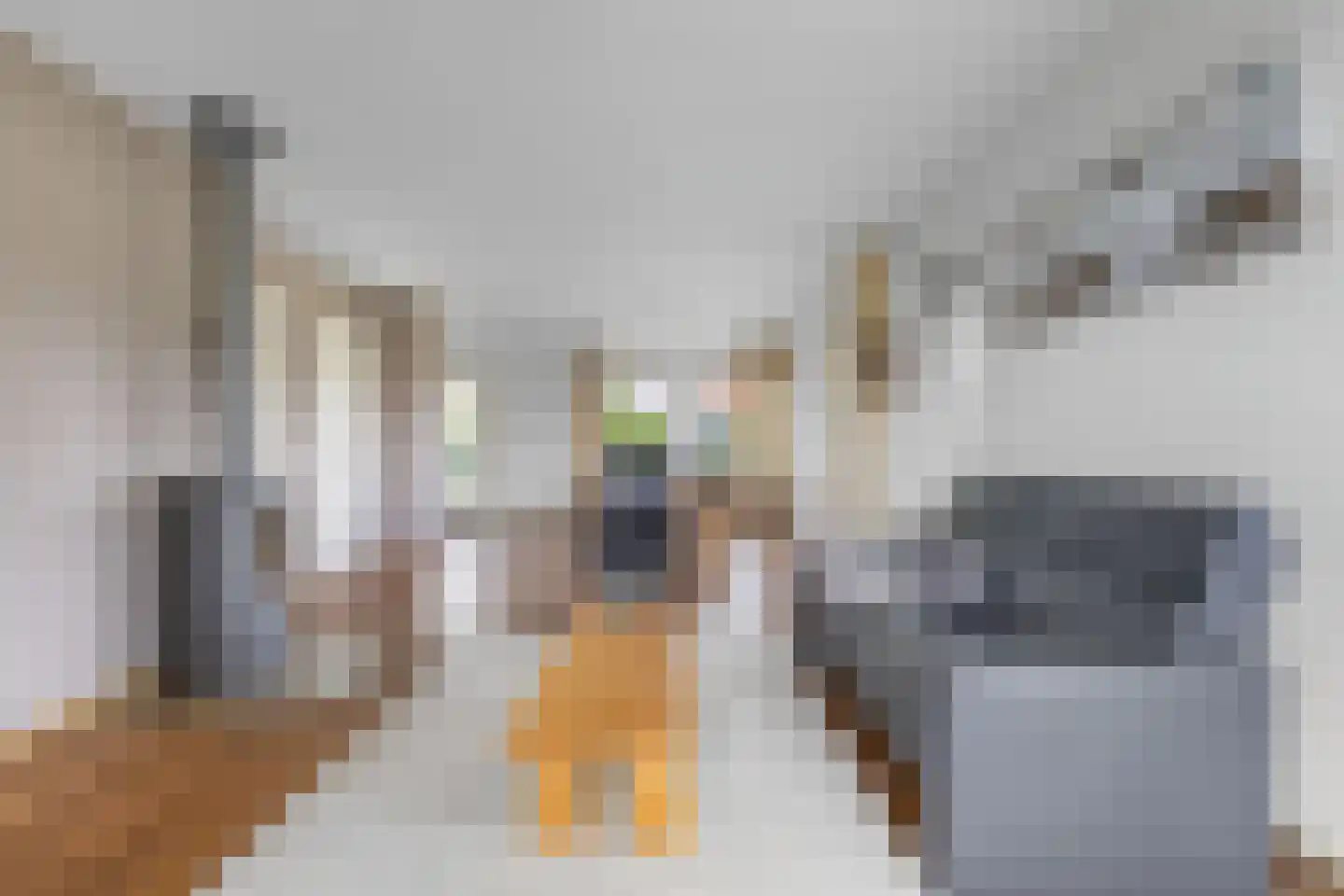 De Jister 14 Wommels thumbnail 11