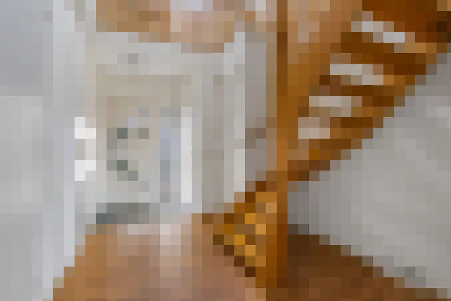 De Jister 14 Wommels thumbnail 20