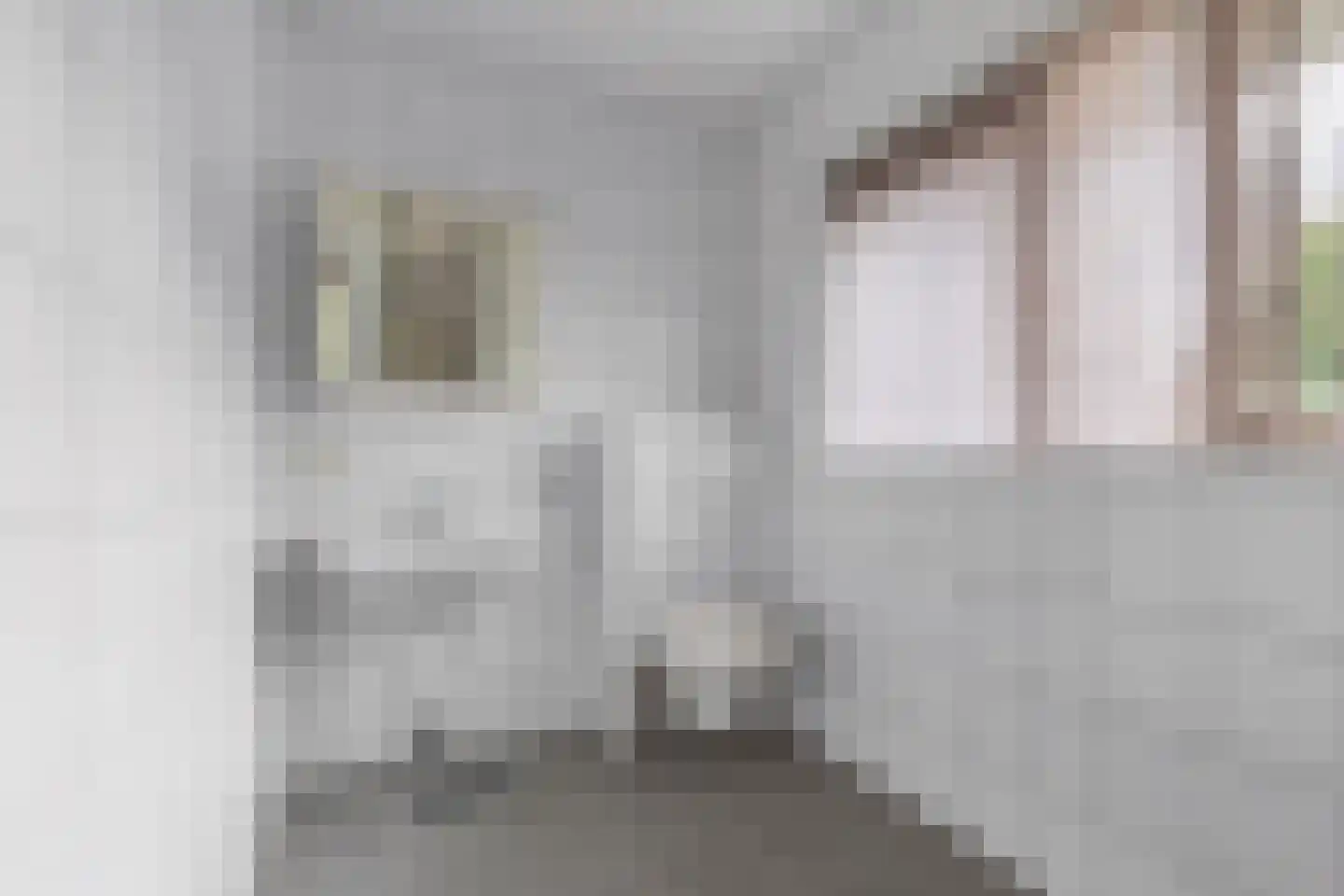 De Jister 14 Wommels thumbnail 23