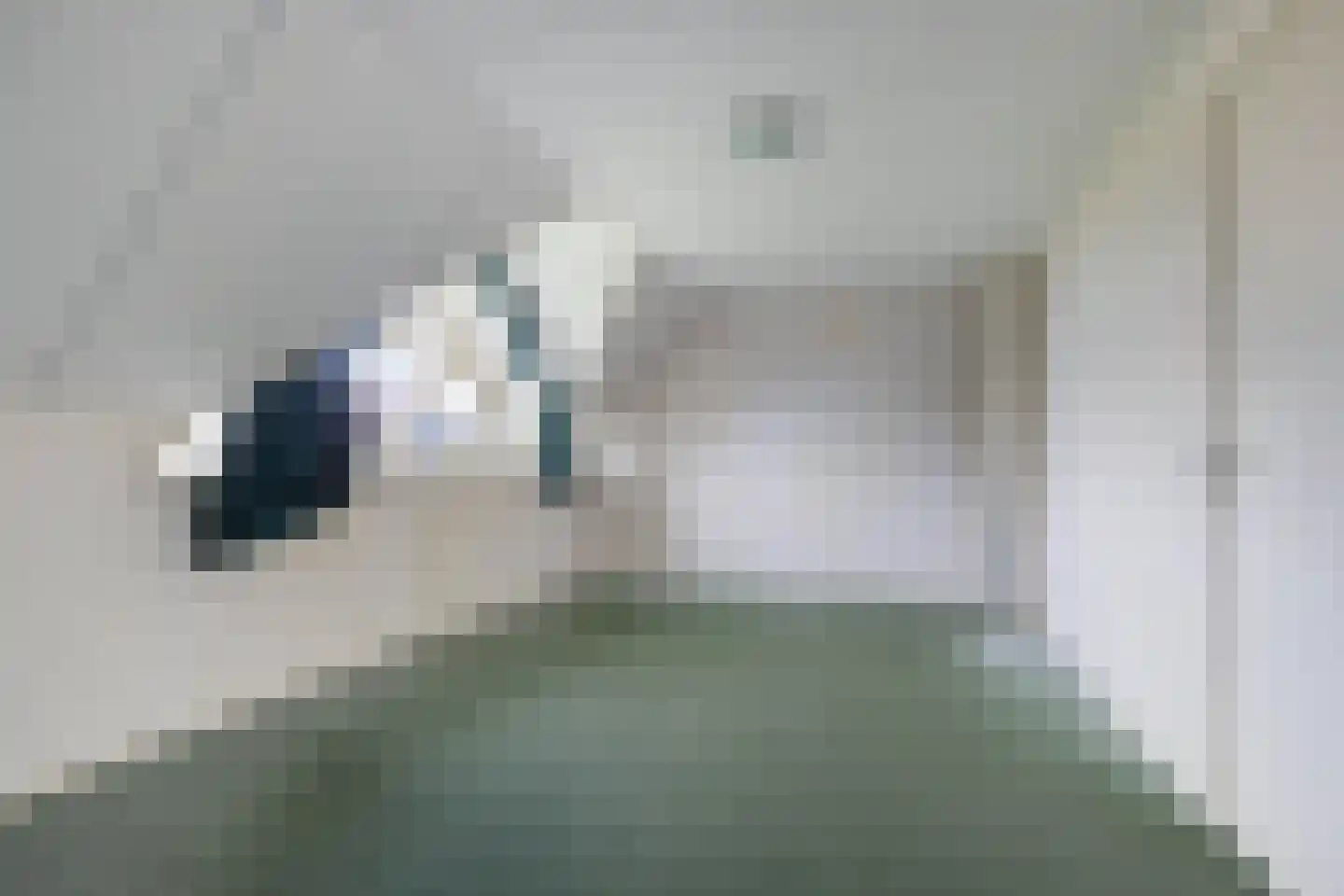 De Jister 14 Wommels thumbnail 32