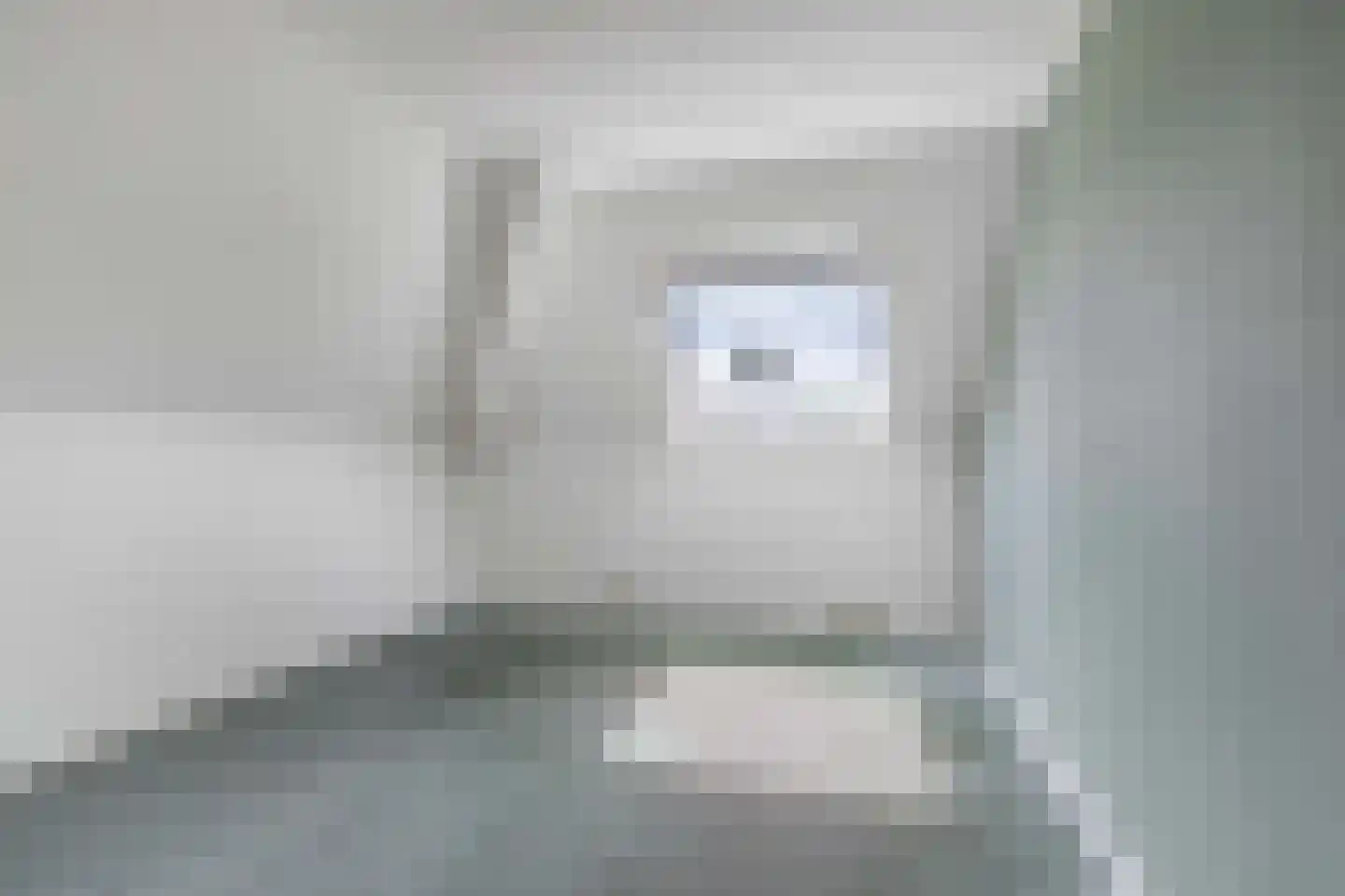 De Jister 14 Wommels thumbnail 33