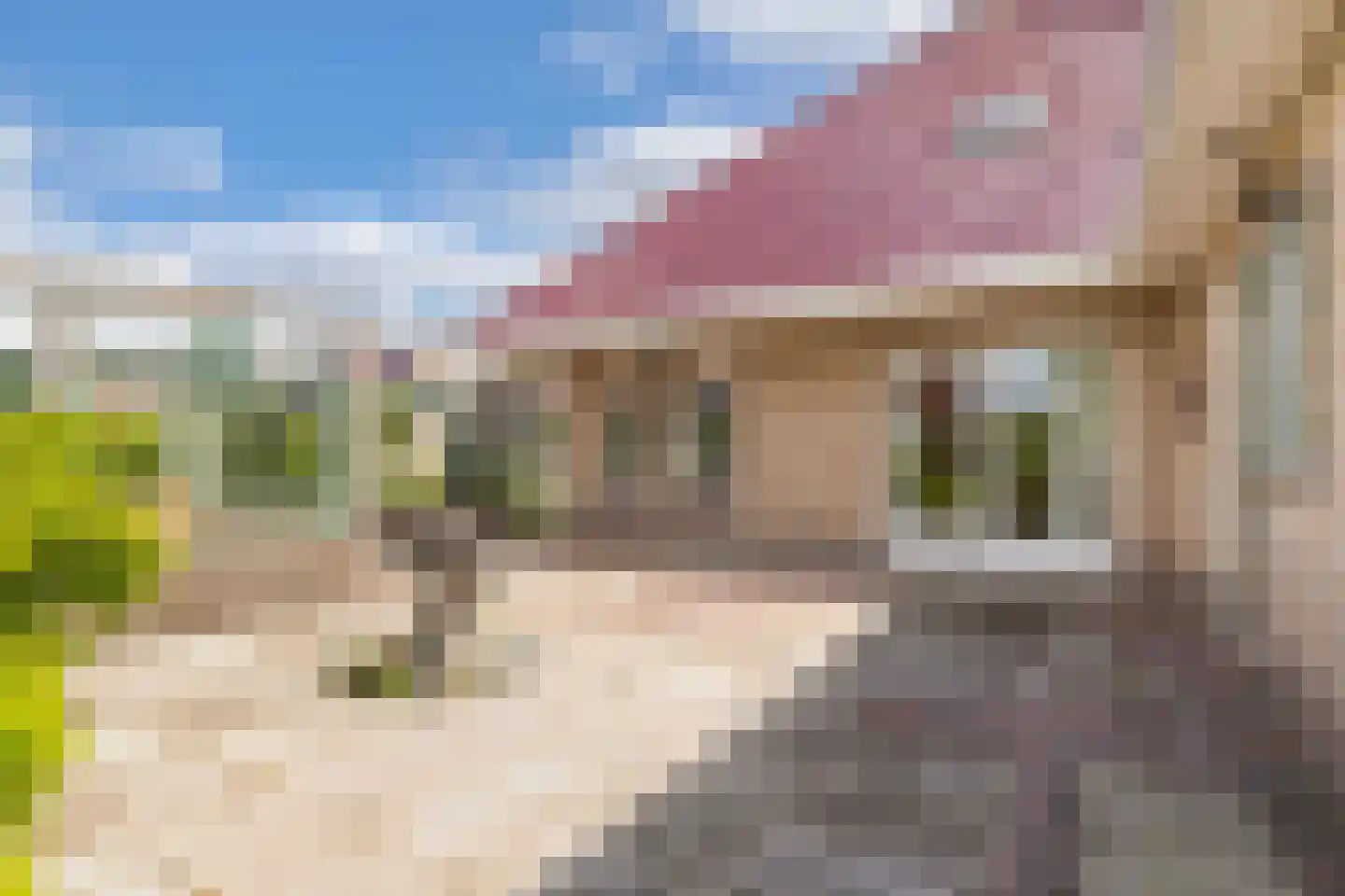 De Jister 14 Wommels thumbnail 38