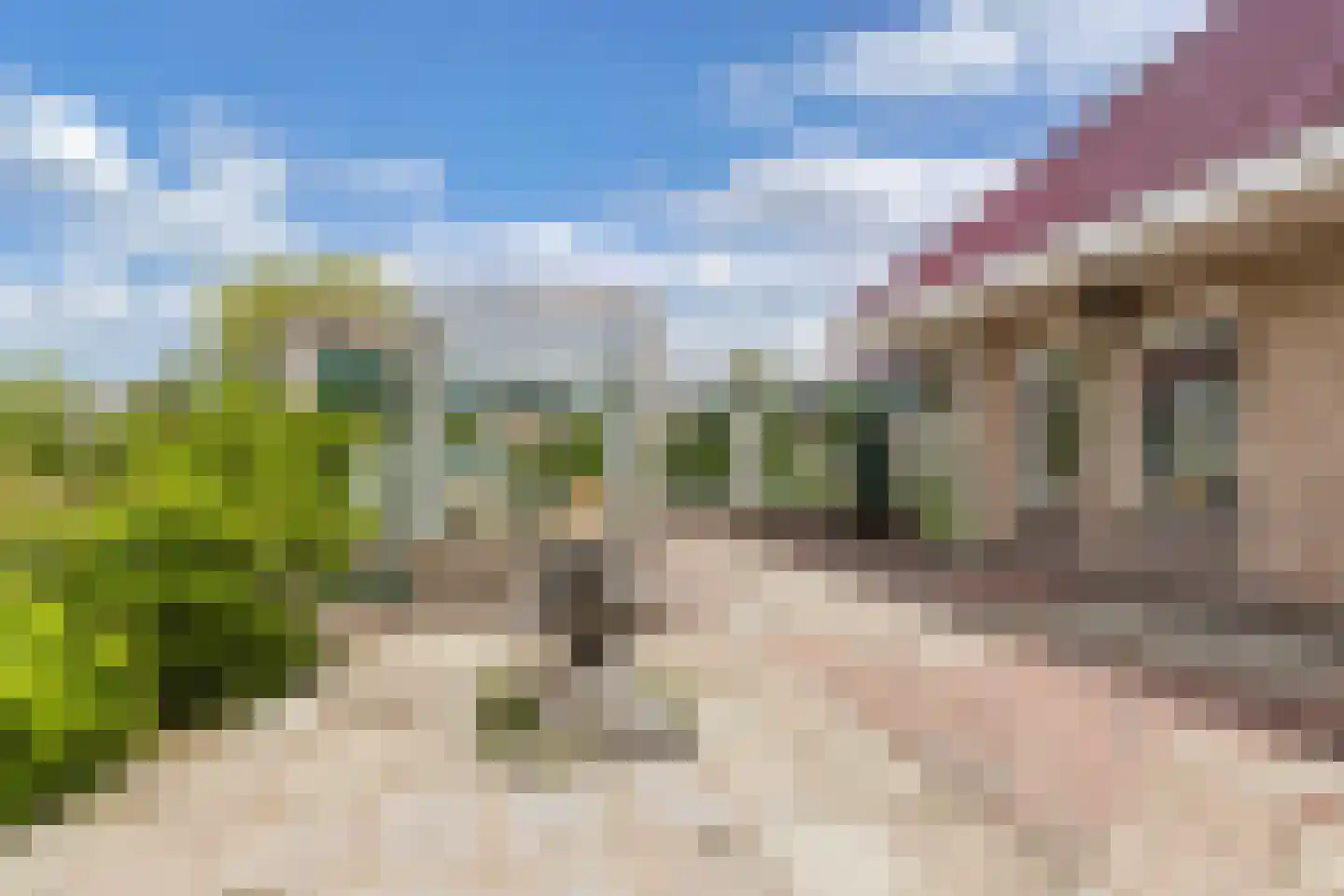 De Jister 14 Wommels thumbnail 39