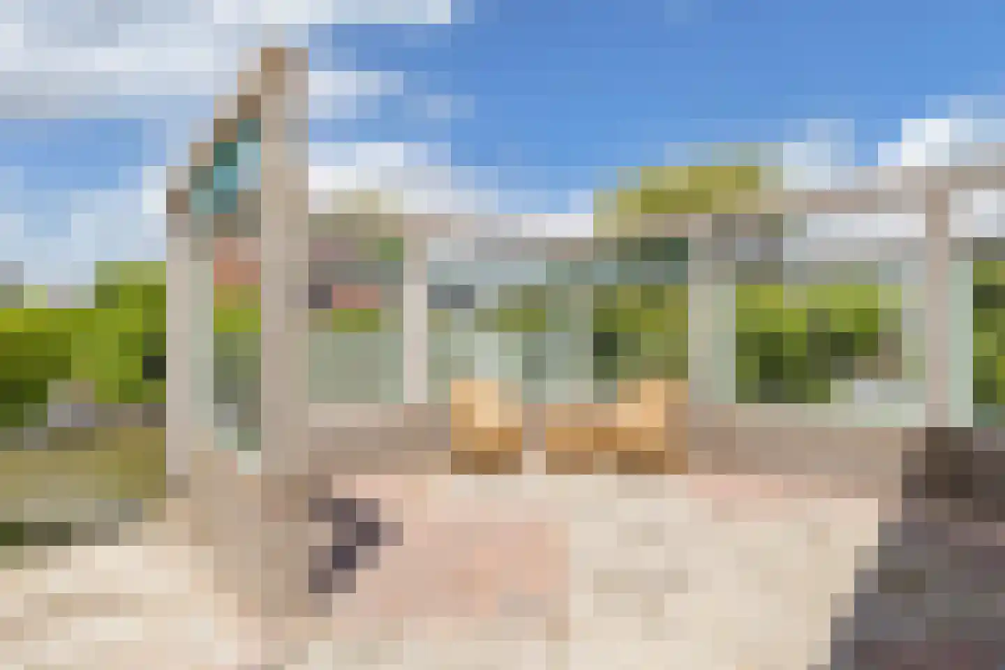 De Jister 14 Wommels thumbnail 40