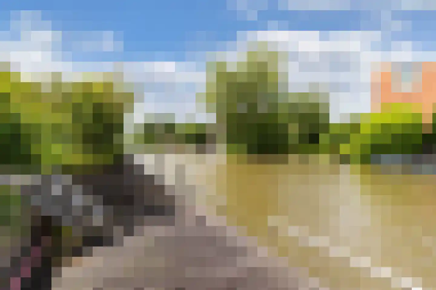 De Jister 14 Wommels thumbnail 45