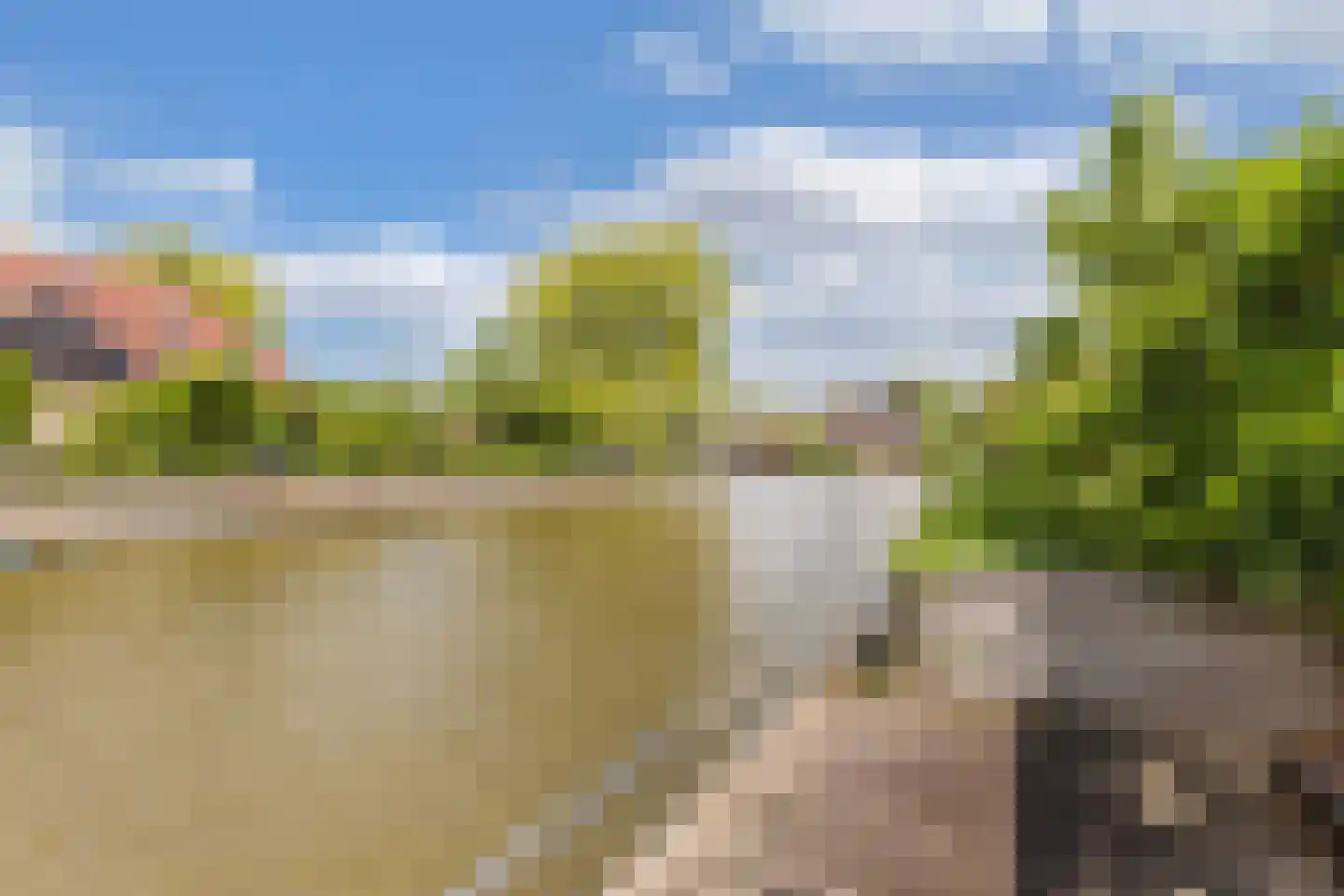 De Jister 14 Wommels thumbnail 46