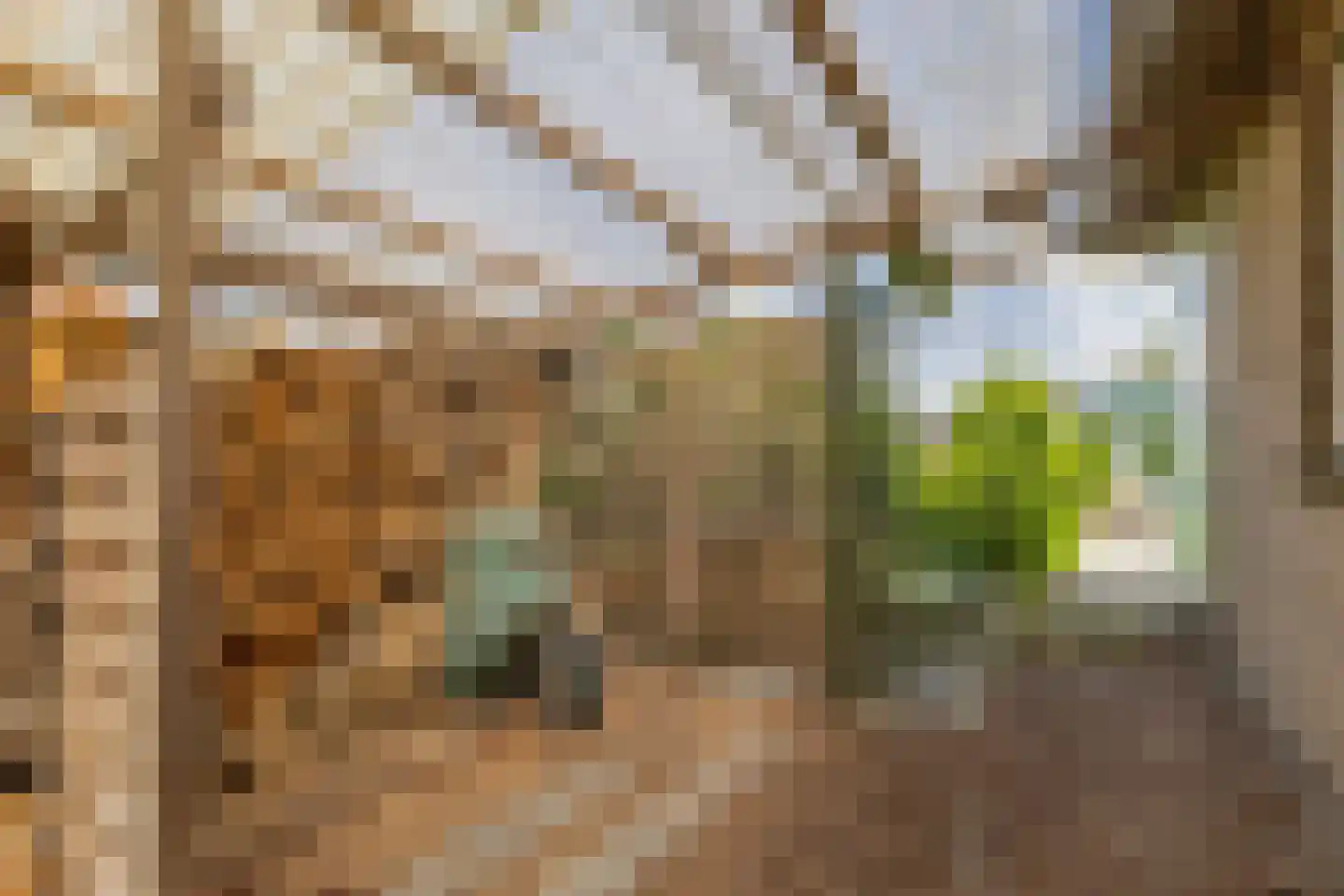 De Jister 14 Wommels thumbnail 47