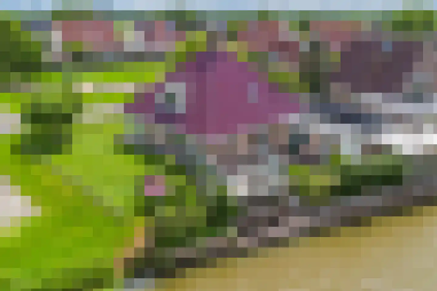 De Jister 14 Wommels thumbnail 50