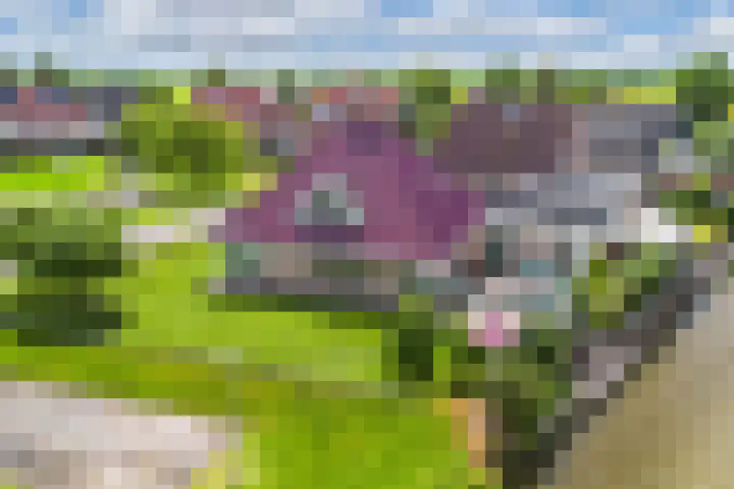De Jister 14 Wommels thumbnail 51