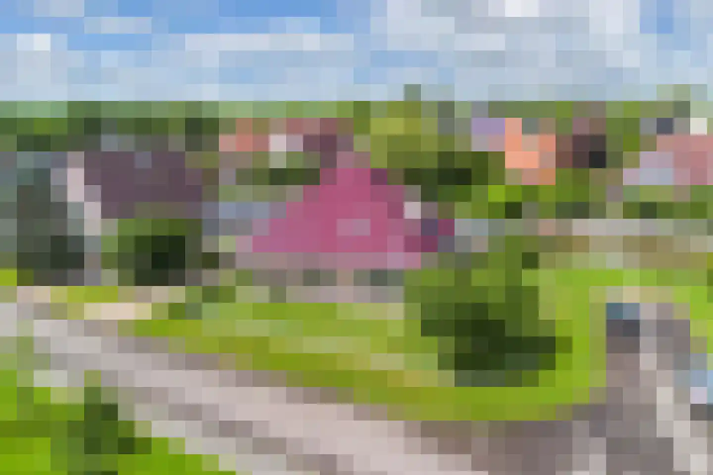 De Jister 14 Wommels thumbnail 54