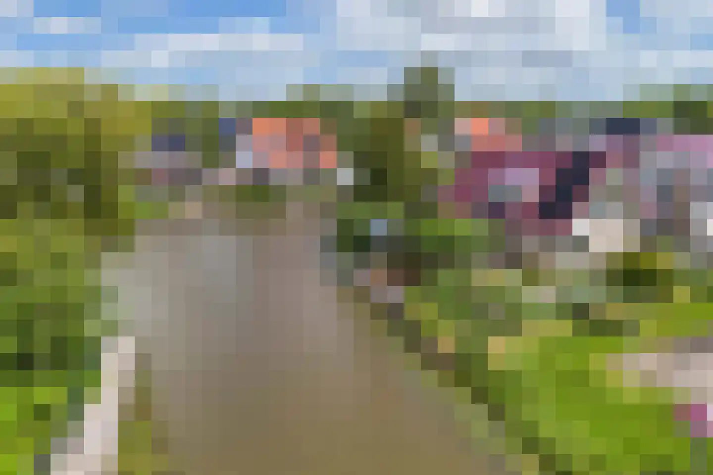 De Jister 14 Wommels thumbnail 57