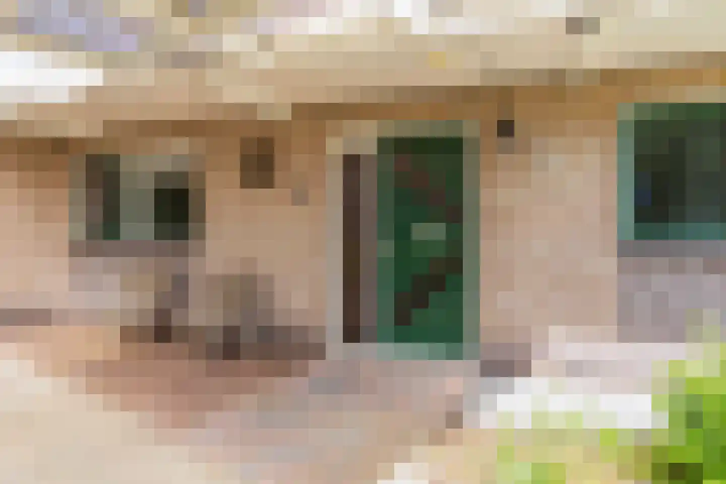 De Jister 14 Wommels thumbnail 8