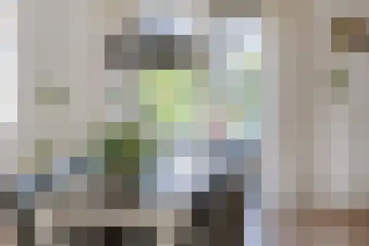 De Jister 15 Heeg thumbnail 11