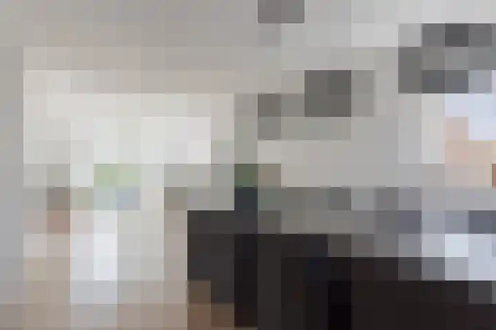 De Jister 15 Heeg thumbnail 13