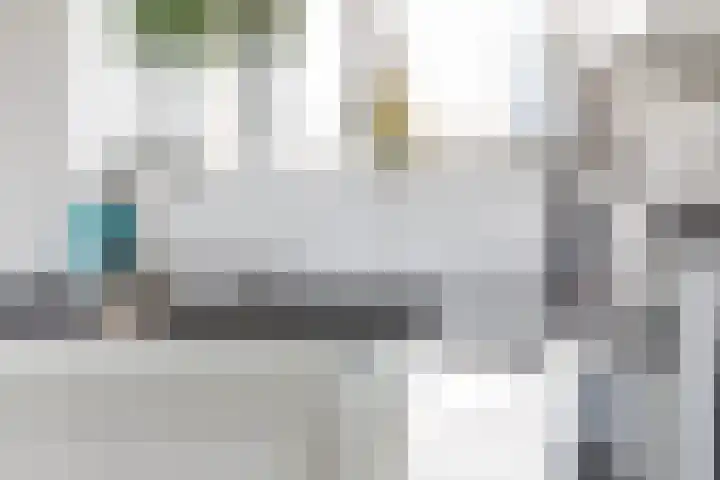 De Jister 15 Heeg thumbnail 14