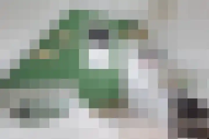 De Jister 15 Heeg thumbnail 19