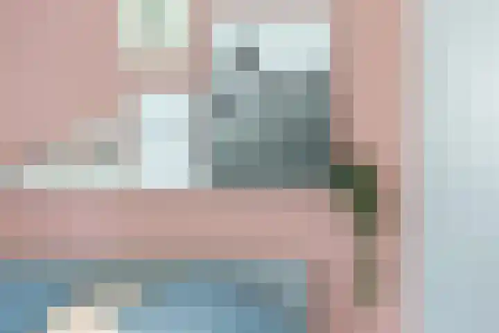De Jister 15 Heeg thumbnail 21