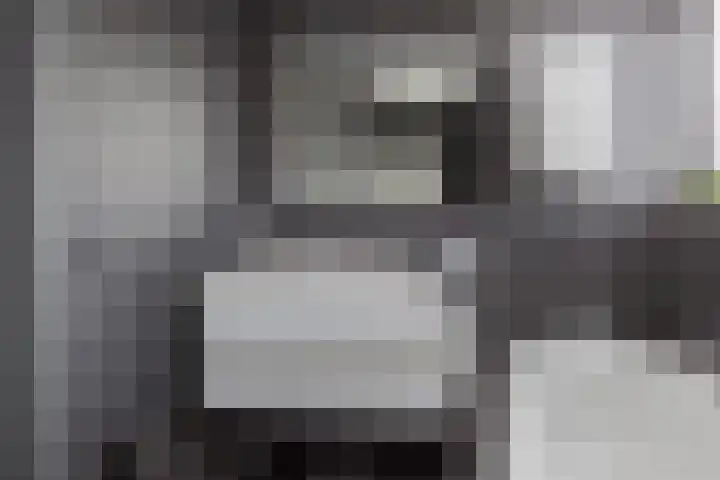 De Jister 15 Heeg thumbnail 25