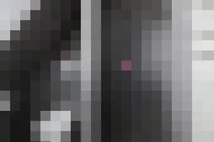 De Jister 15 Heeg thumbnail 26