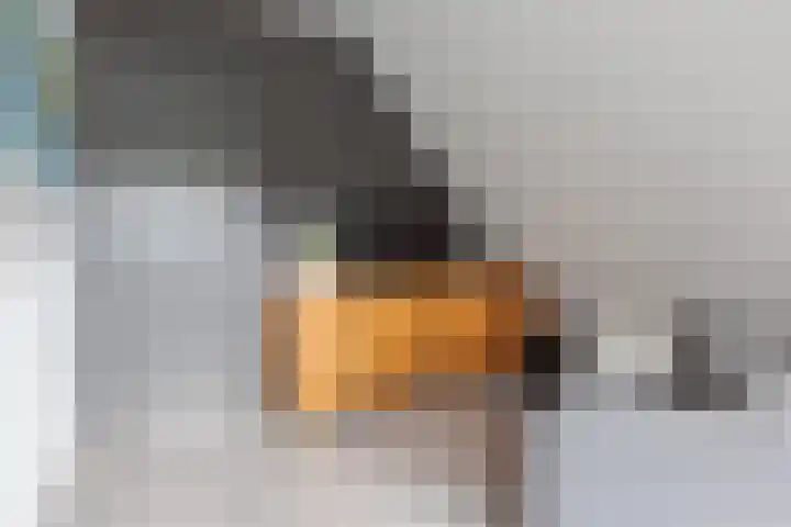 De Jister 15 Heeg thumbnail 28