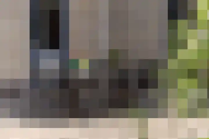 De Jister 15 Heeg thumbnail 32