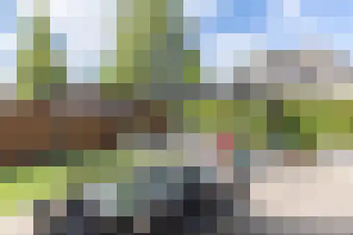 De Jister 15 Heeg thumbnail 33