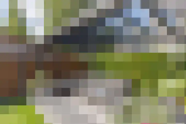 De Jister 15 Heeg thumbnail 36