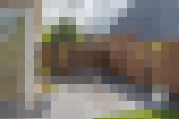 De Jister 15 Heeg thumbnail 38