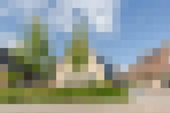 De Jister 15 Heeg thumbnail 39