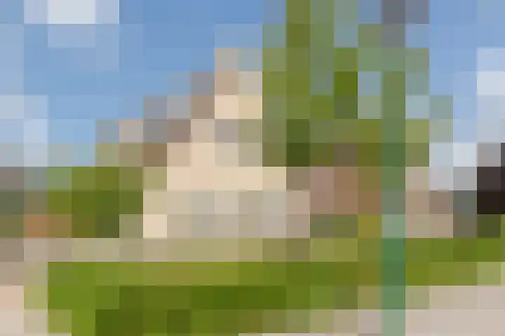 De Jister 15 Heeg thumbnail 4
