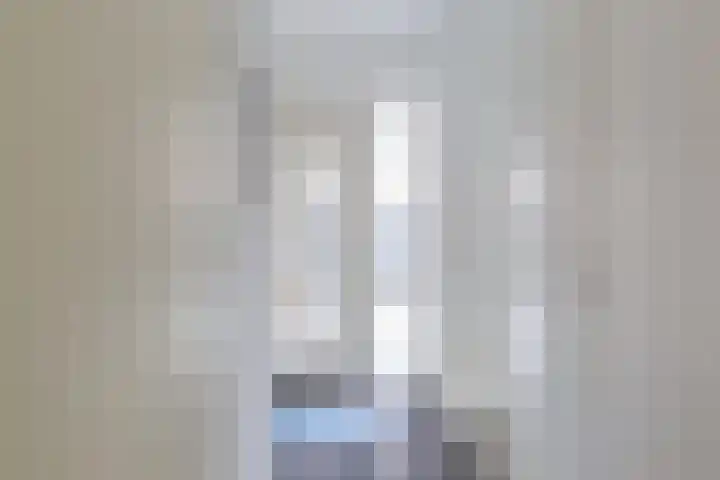De Jister 15 Heeg thumbnail 6
